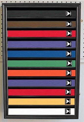 11 Rows Martial Art/Karate/Taekwondo Belt Display Case Rack Wall Cabinet, with Door to Prevent Dust