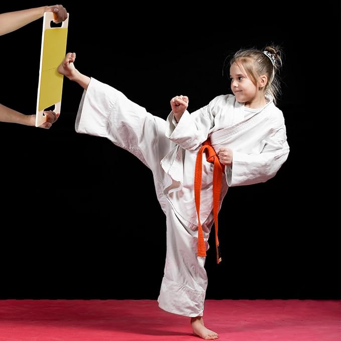 4 Pack Rebreakable Punching Board with Handles, 16.5"x9" Taekwondo Karate MMA Boards, Reusable Plastic Training Breaking Boards, Martial Arts Boxing Training Equipment for Kids Adults, 4 Levels