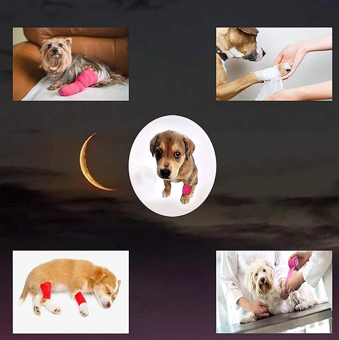 10 Pack Self Adherent Bandage Wrap Elastic Cohesive Bandage Self Adhesive Tape Vet Wrap Tape 2 Size (8Pack 2'' and 2Pack 1''), Blue