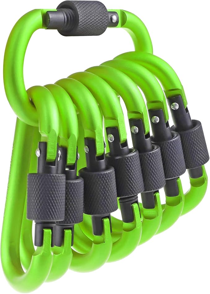 10 Pack Aluminum D Ring Key Rings Hiking Clips Locking Carabiner for Hiking Camping Fishing and Outdoor Use,Clips with Screw Gate Multicolored