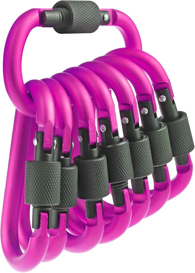 10 Pack Aluminum D Ring Key Rings Hiking Clips Locking Carabiner for Hiking Camping Fishing and Outdoor Use,Clips with Screw Gate Multicolored