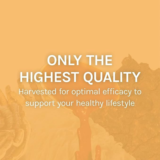 Host Defense Mesima Capsules - Herbal Antioxidant Activity & Immune System Support Supplement - Mushroom Supplement to Support Balanced Immune Response - 60 Capsules (30 Servings)*