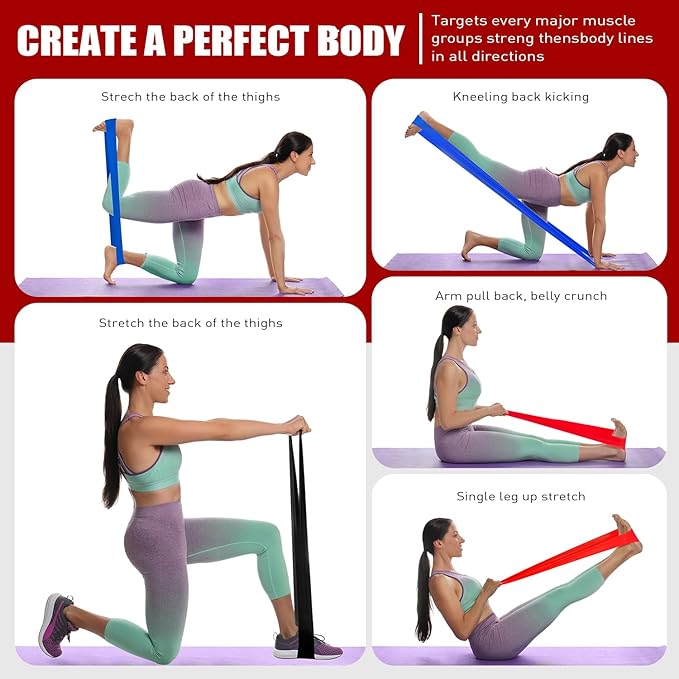 Resistance Bands, Exercise Bands, Physical Therapy Bands for Strength Training, Yoga, Pilates, Stretch Elastic Band with Different Strengths, Workout Bands for Home Gym