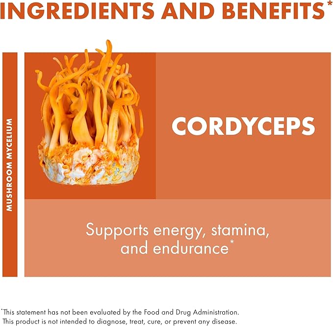 Host Defense Cordyceps Capsules - Immune & Energy Support Supplement - Kidney Health Supplement with Cordyceps - Fitness Support Supplement to Aid Oxygen Uptake - 120 Capsules (60 Servings)*