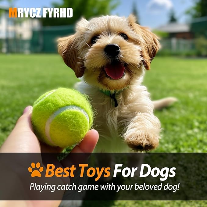 60 Pack Tennis Balls, Training Tennis Balls, Pet Dog Playing Balls, Practice Tennis Balls with Mesh Bag for Transport and Beginner Training