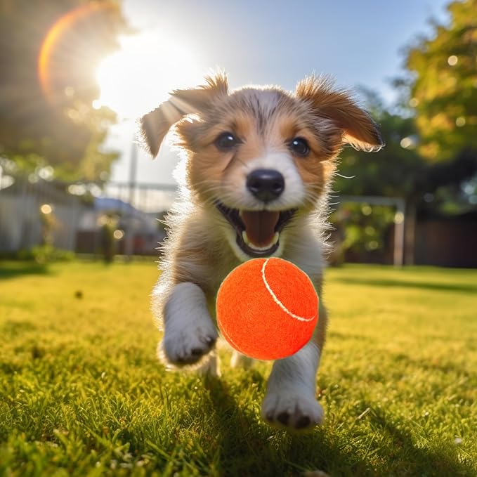 60 Pack Tennis Balls, Training Tennis Balls, Pet Dog Playing Balls, Practice Tennis Balls with Mesh Bag for Transport and Beginner Training