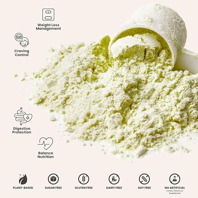 310 Nutrition All-In-One Meal Replacement Shake Powder - Plant-Based Protein Smoothie Blend w/High Fiber, Probiotics & Adaptogens - Low Carb, Vegan, Keto & Paleo Friendly - Gingerbread - 14 Srv