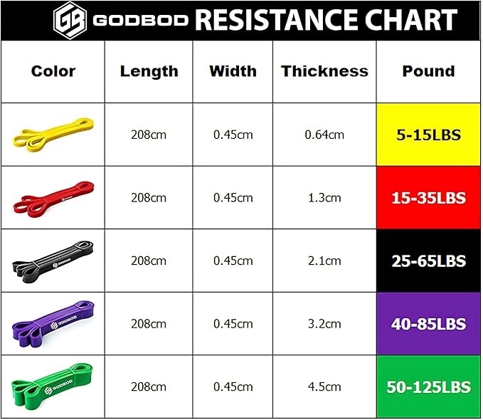 Resistance Bands Set – 5 Long Loop Bands for Home Workouts, Pull-Ups, Physical Therapy & Recovery – Heavy to Light Exercise Bands with Carry Bag – Durable Fitness Bands for Men & Women