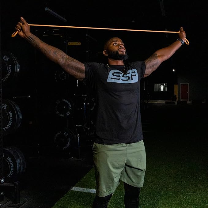 Serious Steel Fitness 32" Resistance Training Bands (Portable Exercise Band System Training Bands- Great for Individuals Under 5'10")