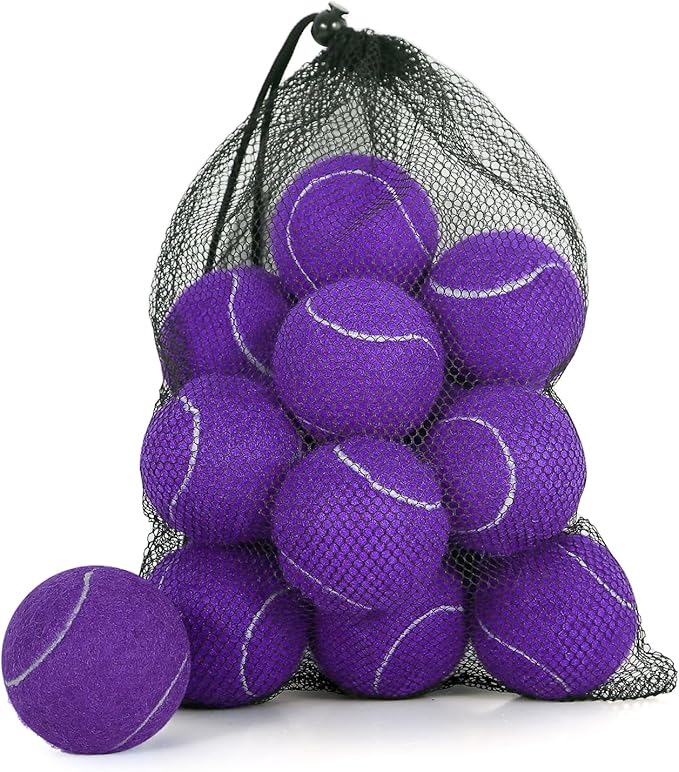 24 Pack Tennis Balls, Training Tennis Balls, Pet Dog Playing Balls, Practice Tennis Balls with Mesh Bag for Transport and Beginner Training