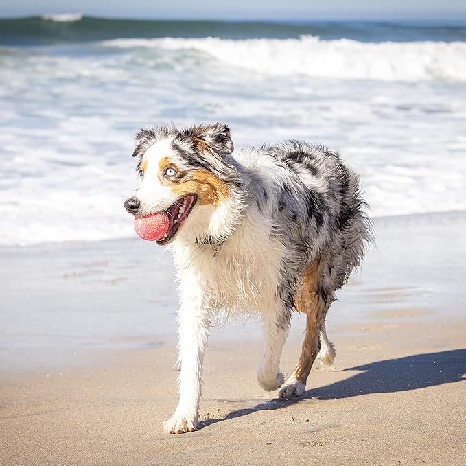 Hyper Pet Tennis Balls for Dogs (Safe Dog Tennis Ball for Exercise and Training, Interactive Toys work with Hyper Pet K9 Kannon K2 Launcher - 4 Pack 2.5" Pink