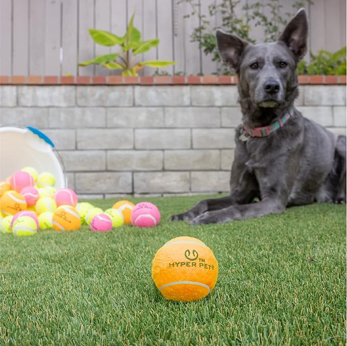 Hyper Pet Tennis Balls for Dogs (Safe Ball for Exercise and Training) Interactive Dog Toys work with Hyper Pet K9 Kannon K2 Dog Ball Launcher - 4 Pack 2.5" Orange