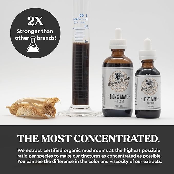 Hodgins Harvest Organic Lion's Mane Fruiting Body Extract Tincture - Mushroom Supplement for Brain Health and Mental Focus - Dual Extract Formula - Extra Concentrated - 2 fl oz Bottle