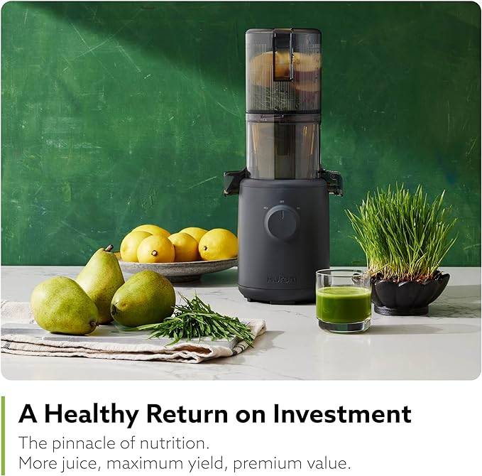 Hurom H310A Personal Self Feeding Slow Masticating Juicer (Matte Black)