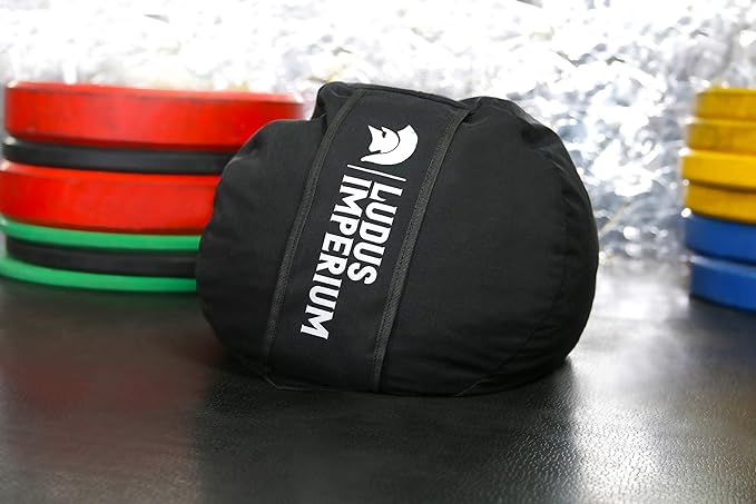 Training Sandbag, Heavy Duty Workout Sandbags for Training, Fitness, Cross-Training & Exercise, Workouts, Sandbag Weights