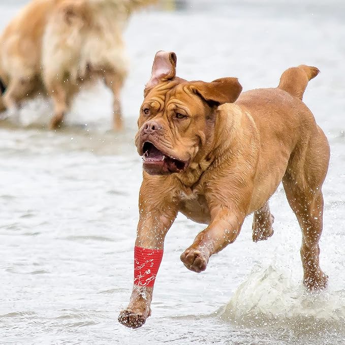 8 Rolls Cohesive Bandage 2” x 5 Yards Self Adherent Bandage Wrap Breathable Vet Tape Elastic Adhesive Bandage for Sports, Wrist, Ankle, Tattoo Wraps(Red)