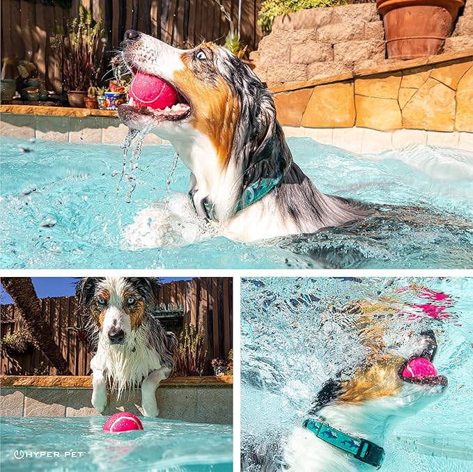 Hyper Pet Tennis Balls for Dogs (Safe Dog Tennis Ball for Exercise and Training, Interactive Toys work with Hyper Pet K9 Kannon K2 Launcher - 4 Pack 2.5" Pink