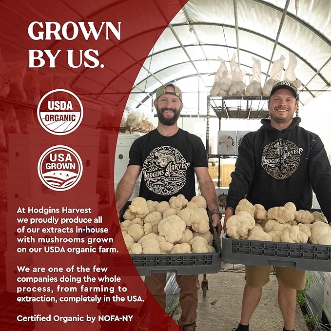 Hodgins Harvest Organic Reishi Tincture | Made with Mushrooms Grown On Our Farm in The USA | Dual Extract | Extra-Concentrated (2 fl oz)